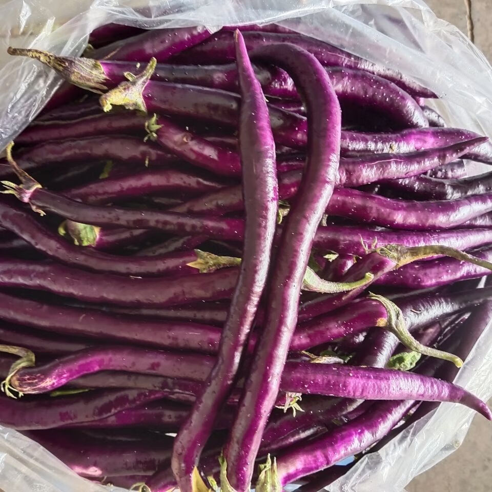 茄子长茄子软糯茄子杭茄新鲜茄子紫茄子农家茄子细茄子3斤5斤 杭茄