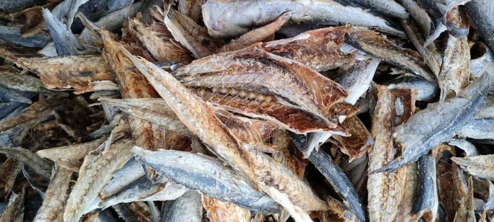 福建东浪鱼干无头鱼干海干鱼盐海鱼小没头鱼干特产海鲜干货 两斤 一斤