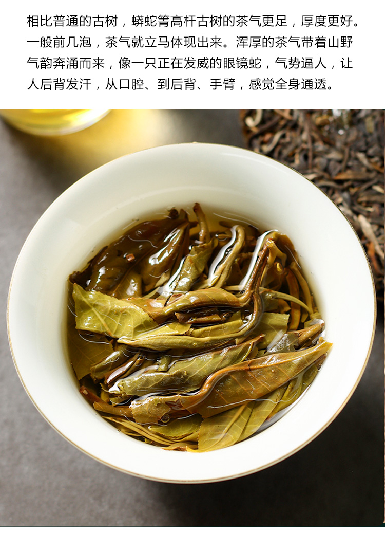 顺丰2021易武蟒蛇箐高杆古树普洱茶生茶云南七子饼茶叶357g一饼