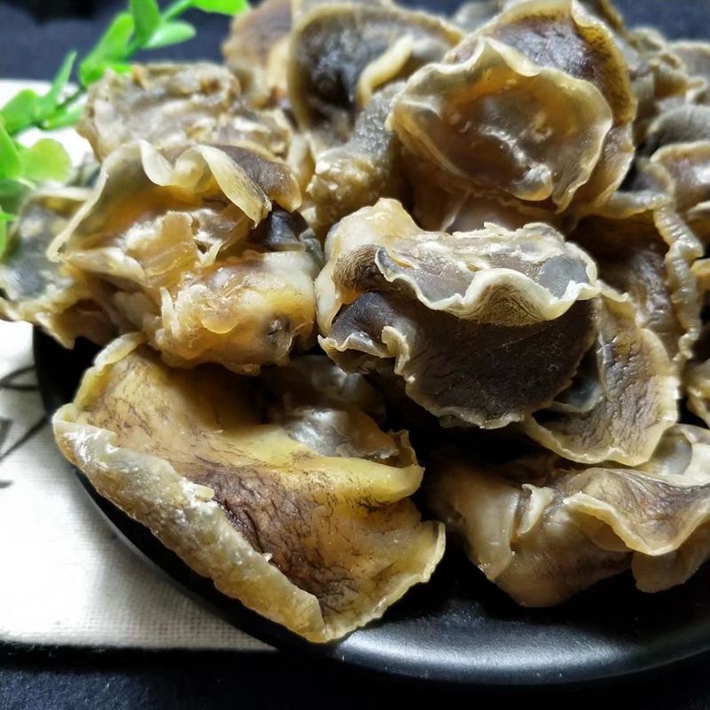 辽宁特产香螺干250g螺头干货深海响螺头香螺肉猫眼海螺扁玉螺贝类