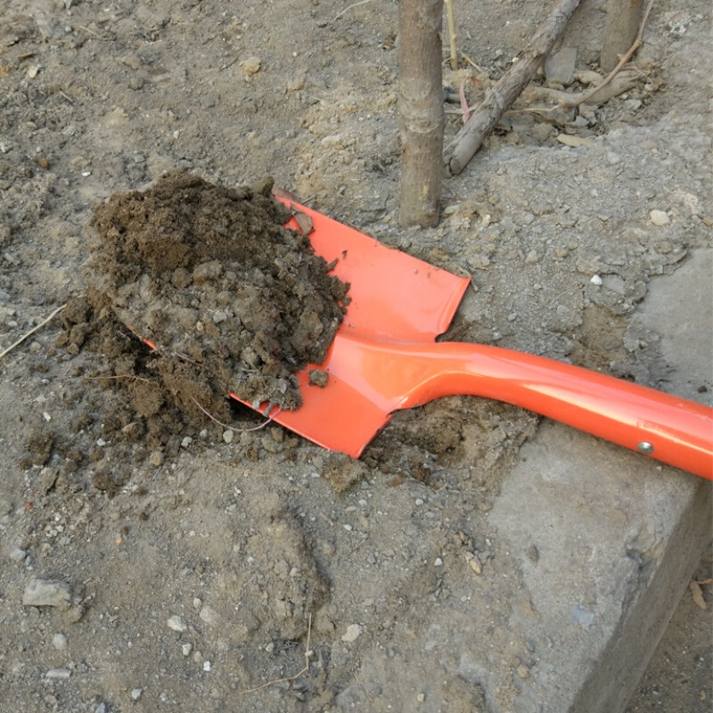 植树节木柄园艺花锹种菜种花挖坑铁锹锰钢沙滩钓鱼短柄儿童铲植树小钢