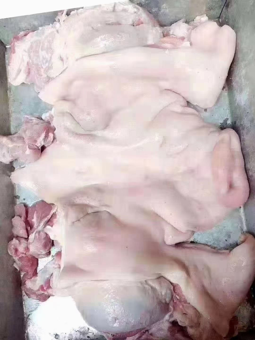 去骨生猪头 全生猪脸肉 去骨生猪头新鲜冷冻 干净无毛 净重19斤 20斤