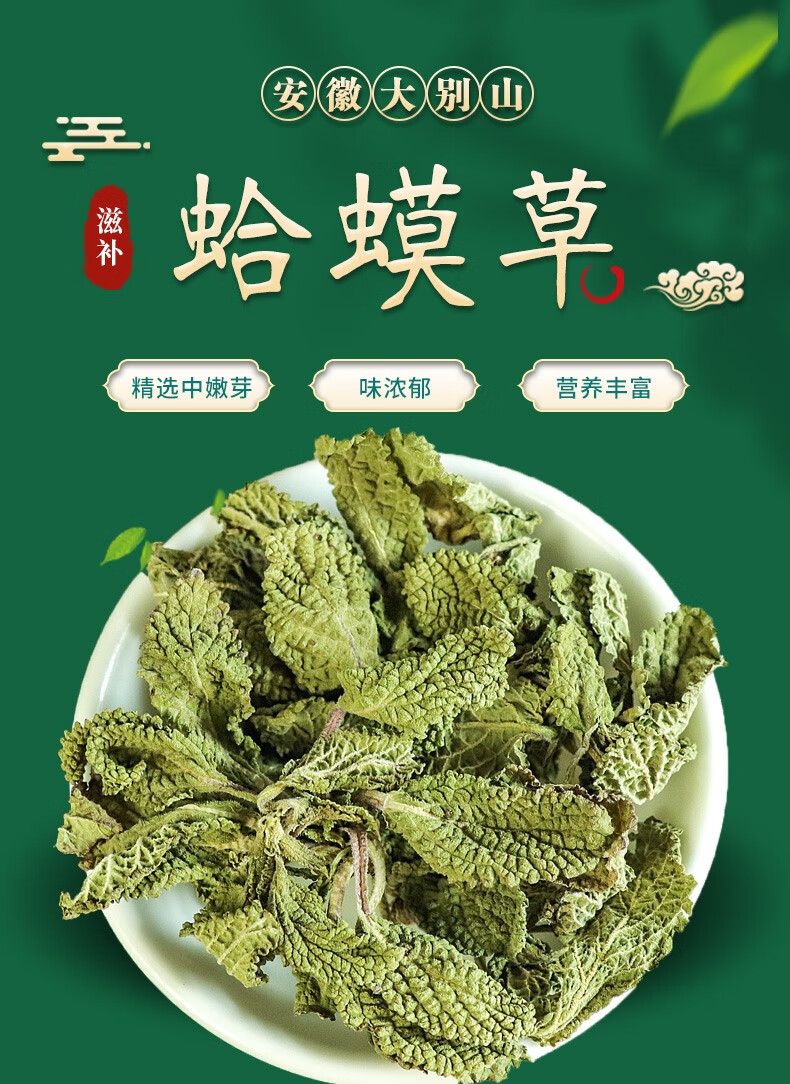 蛤蟆草的毒性 功效图片