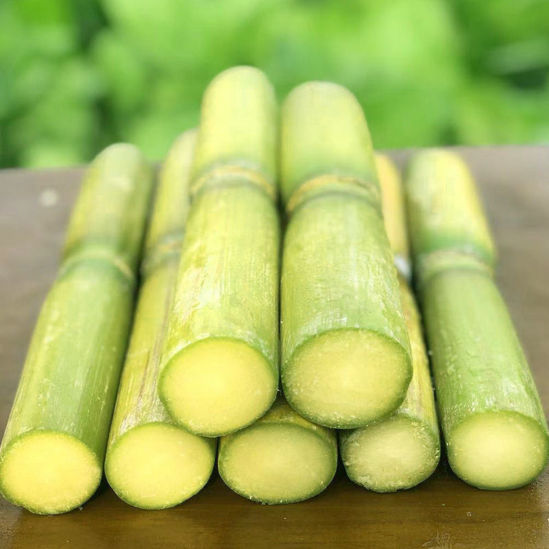脆甜甘蔗陶花山青皮绿皮甘蔗现孕妇新鲜水果应季整箱果蔗 9-10斤底部