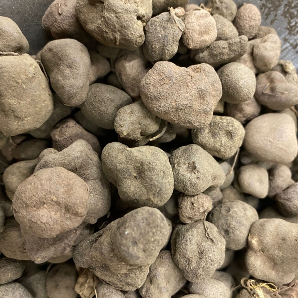 有仁堂云南中药材 雷丸 雷实 竹林子 木连子 产地直销 250克 云南省