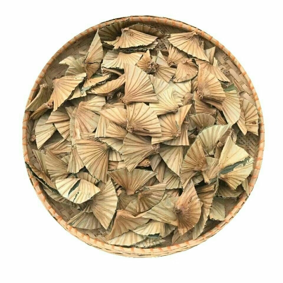 伟博 中药材荷叶蒂250g克起新货荷蒂荷鼻莲蒂干荷叶蒂荷叶顶同仁 同堂