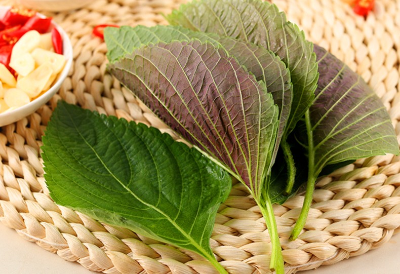 顺丰东北新鲜苏子叶韩国烤肉紫苏叶包肉包饭蘸酱菜1000g