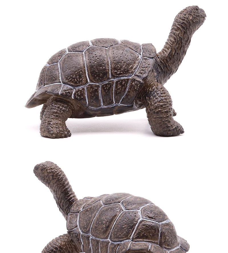 迷铭乐象龟仿真野生象龟乌龟模型加拉帕戈斯陆龟草龟陆地爬行动物儿童