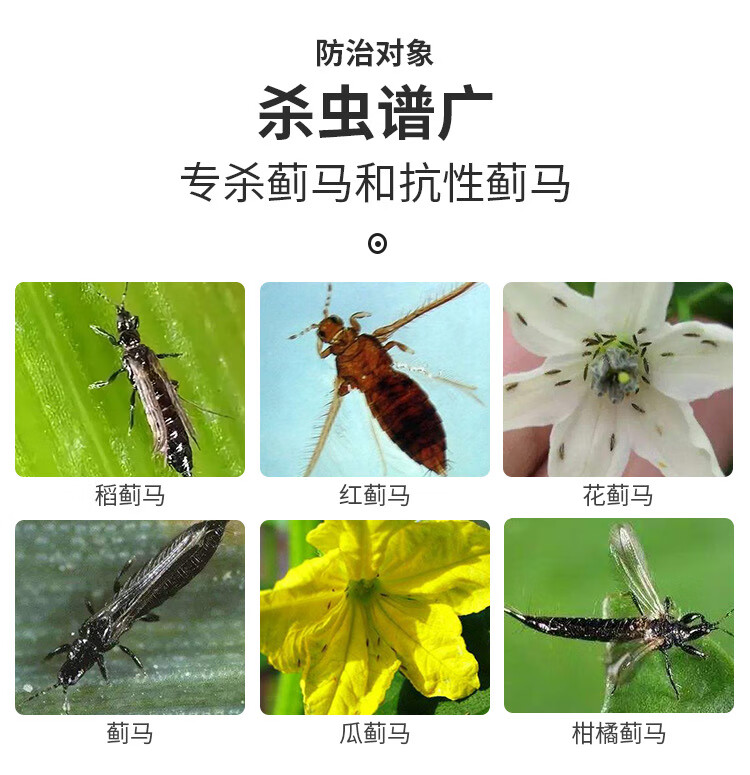 蓟冠甲维盐杀蓟马专用药玫瑰花蓟马瓜蓟马茄子蓟马豆角蓟马杀虫剂 100