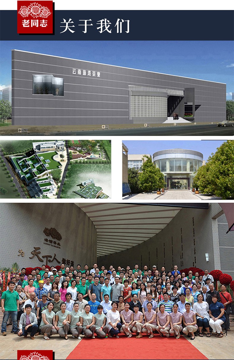 同志茶叶普洱茶生茶名山古树纯料茶探春易武正山云南七子饼茶海湾茶厂