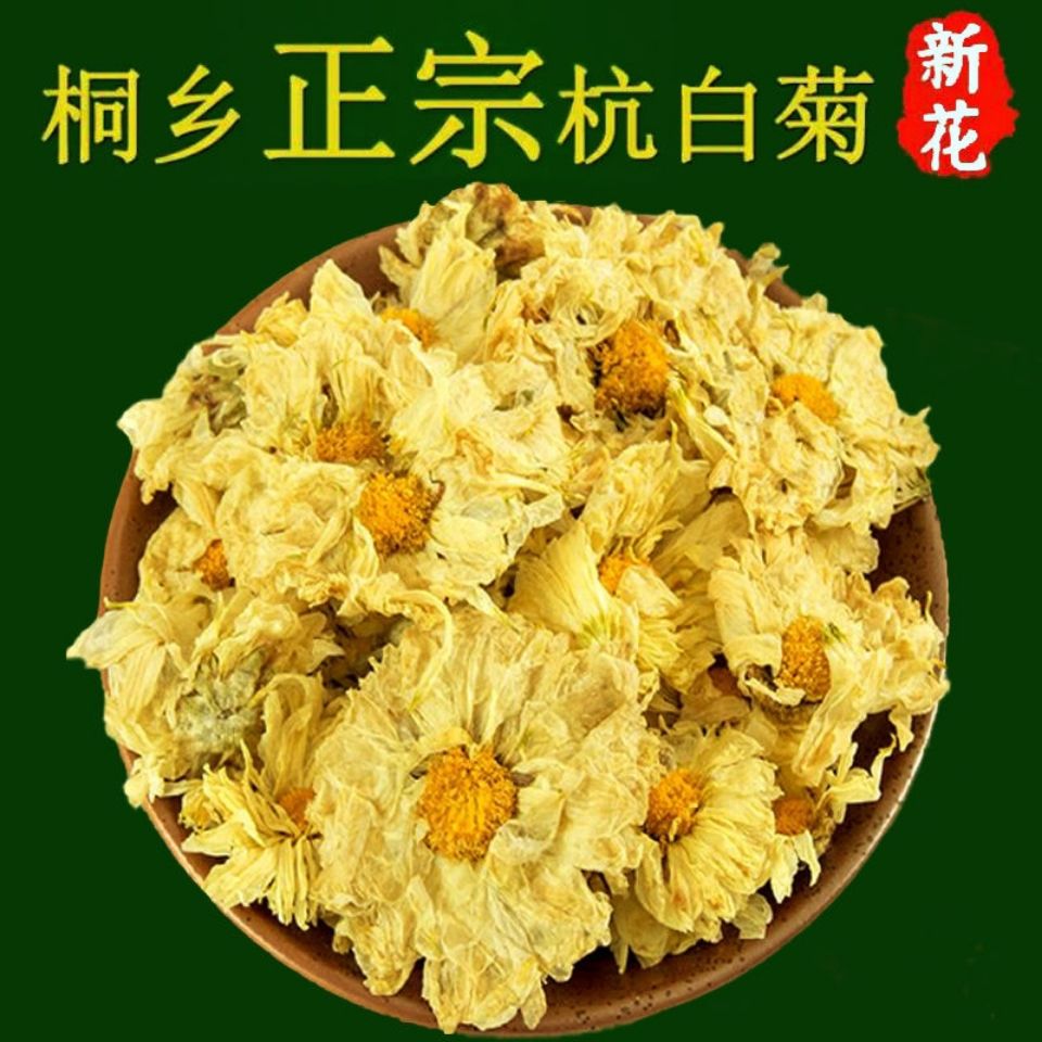 官方旗舰菊花茶杭白菊特级桐乡杭菊白菊花草茶50g500g杭白菊100克