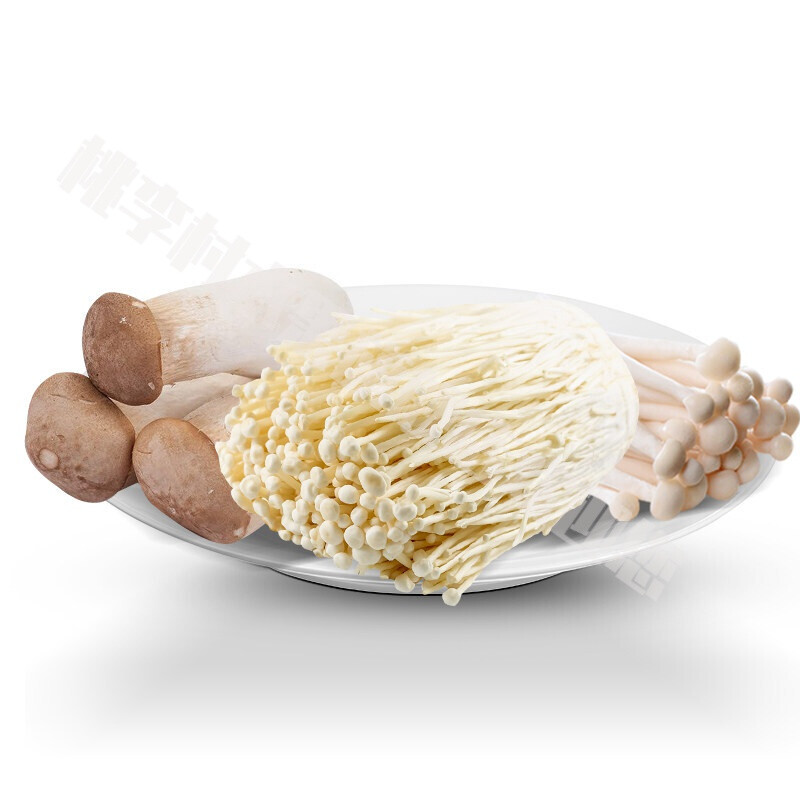 新鲜杏鲍菇金菇香菇平菇海鲜菇鸡腿菇玉菇蘑菇菇现采现 菌菇组合(杏鲍