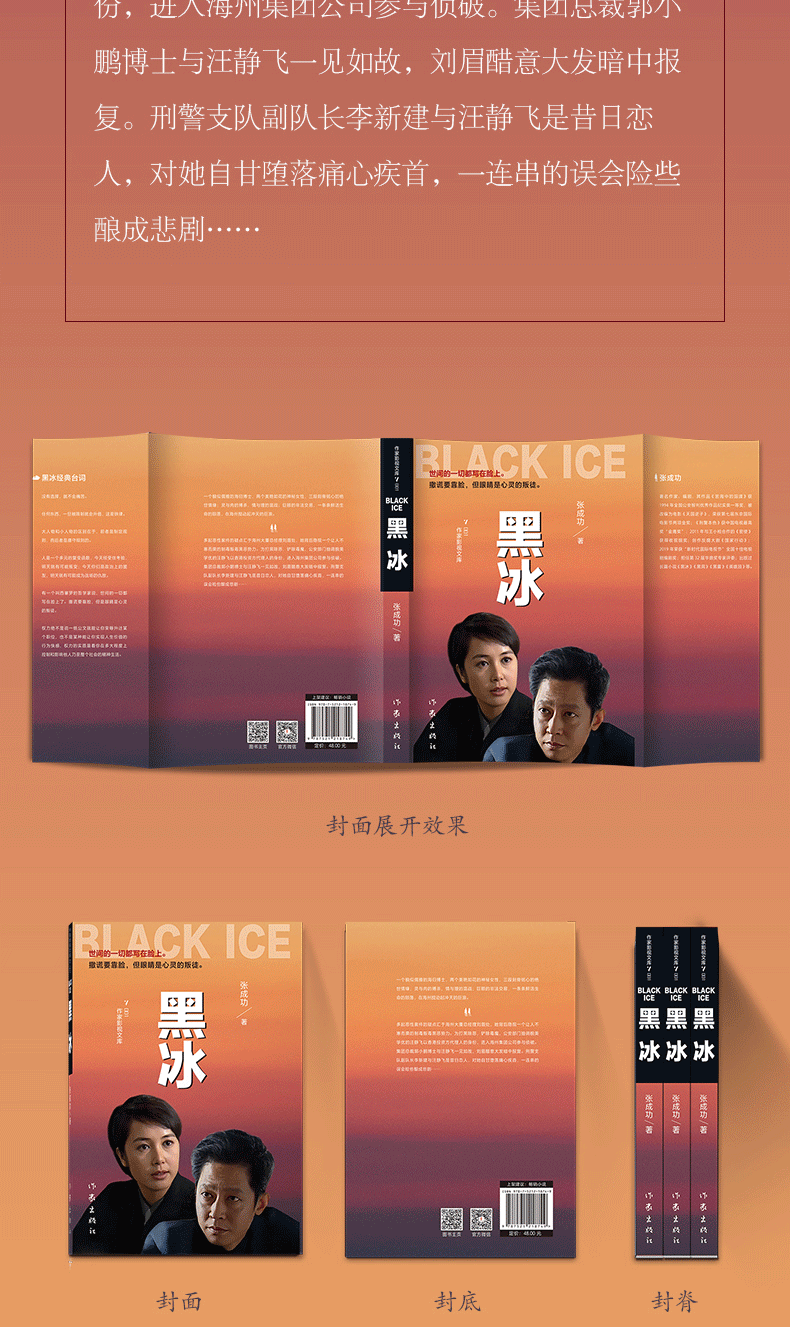 《黑冰正版 电视剧原版原著黑冰小说书籍 张成功著 世间的一切都写在