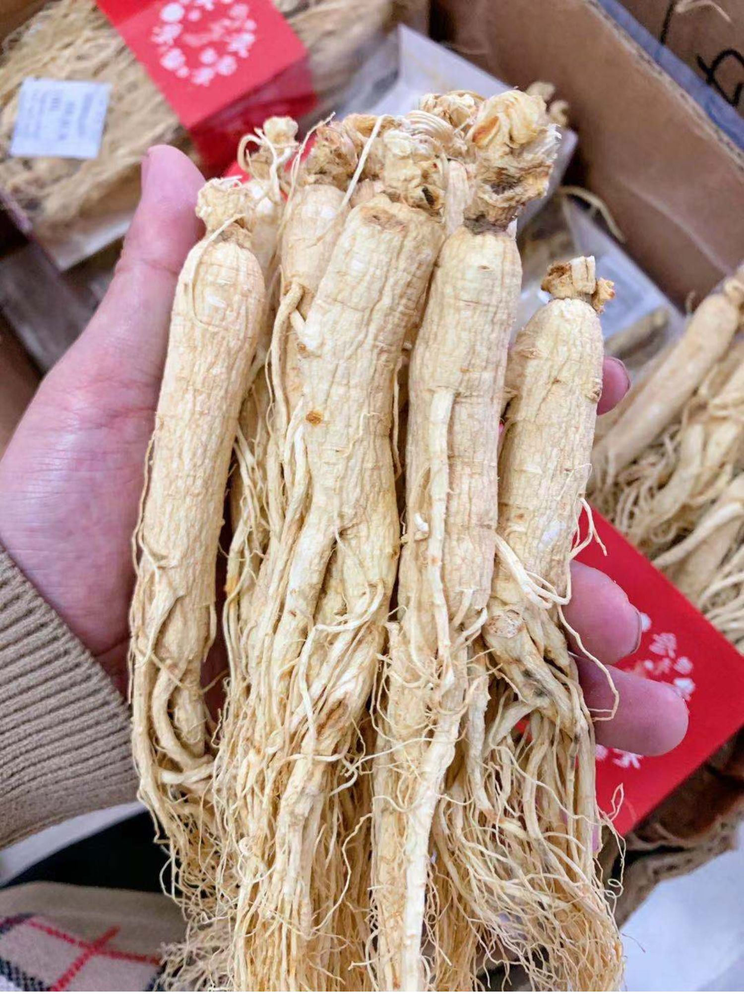 北京同仁堂 原料人参长白山野山参500g东北人参泡酒专用8年白参生晒参