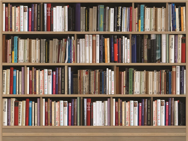 直播背景布主播3d直播间书房书柜网红立体办公室快手抖音逼真高清大气