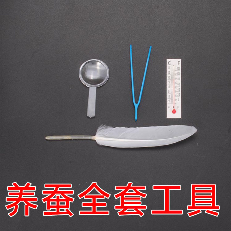 养蚕工具蚕宝宝套装小蚕饲养盒蚕卵孵化盒分养盒羽毛结茧网抽丝驰爵小
