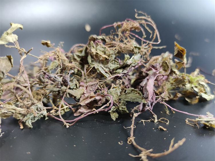 福建正宗风柜斗草楮头红风鼓草肉穗草肝养护免疫肝茶煲汤养生 250克