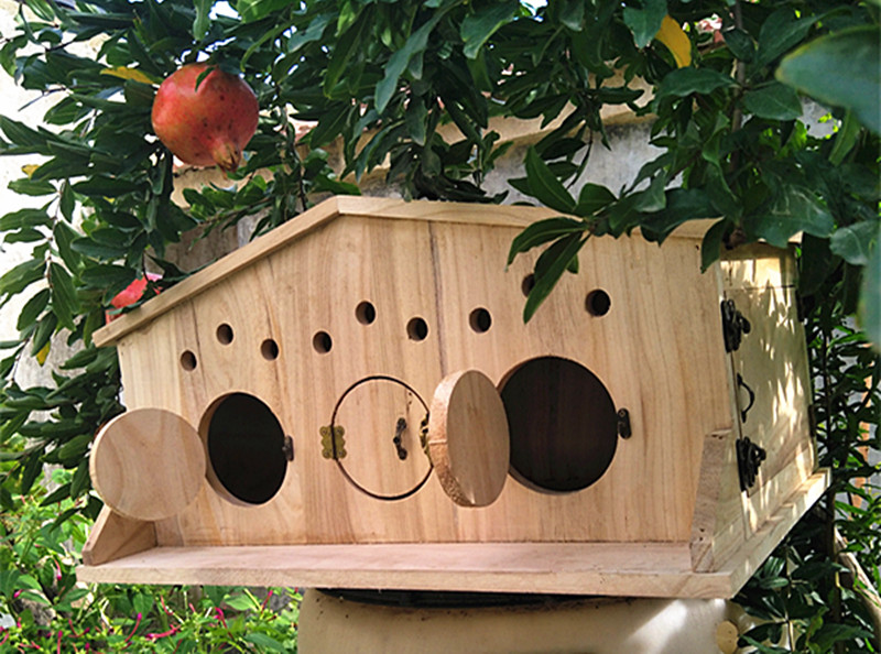 室外实木鸽子窝带门超大防风孵化繁殖巢箱鹦鹉木屋可悬挂支持定制