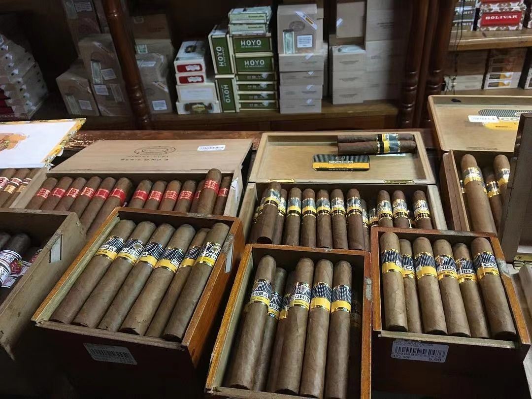 茄龙进口厂家直销古巴口感玻多瓦尔茶雪茄加粗细烟入门级礼盒特香款2