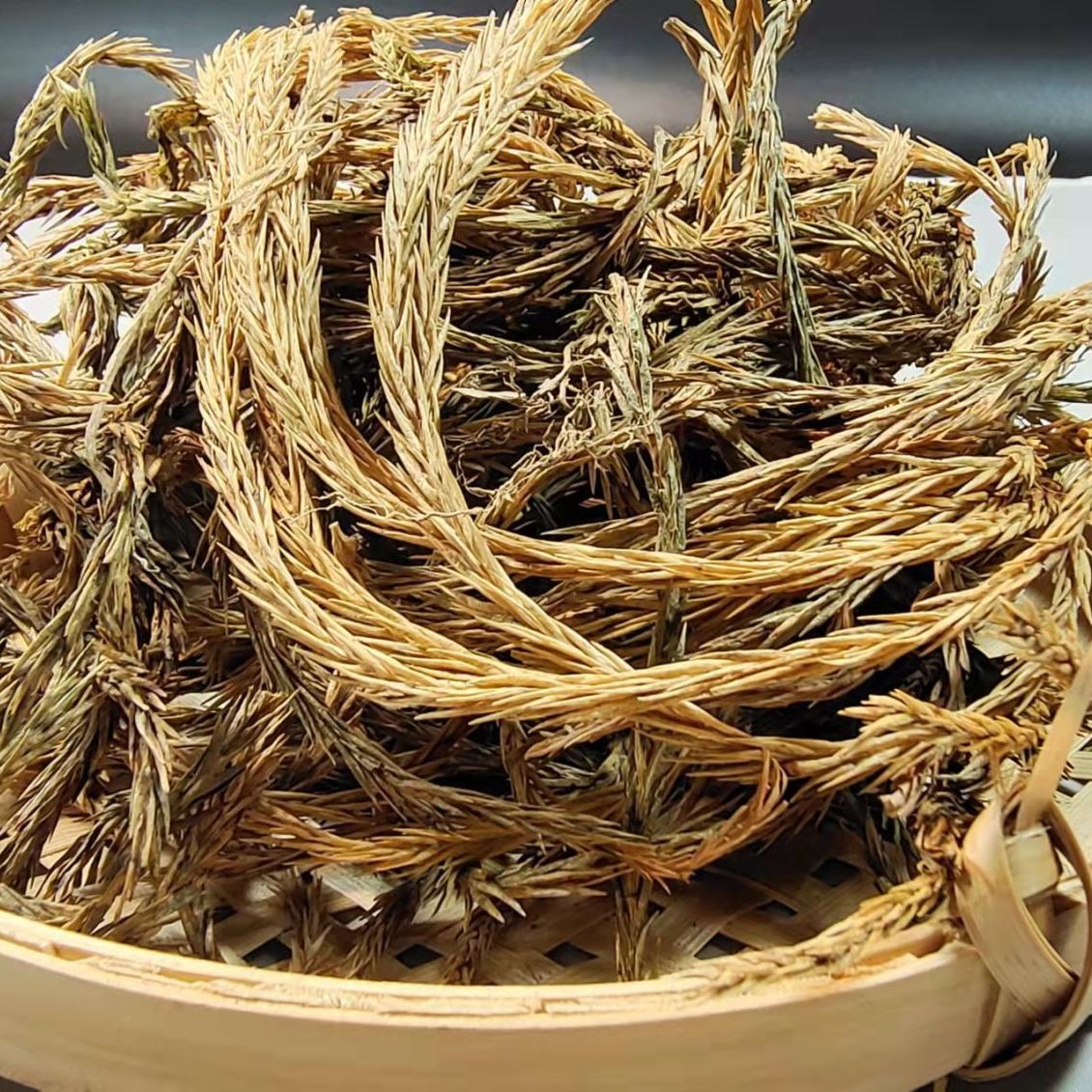 马尾千金草干品 马尾伸筋草.