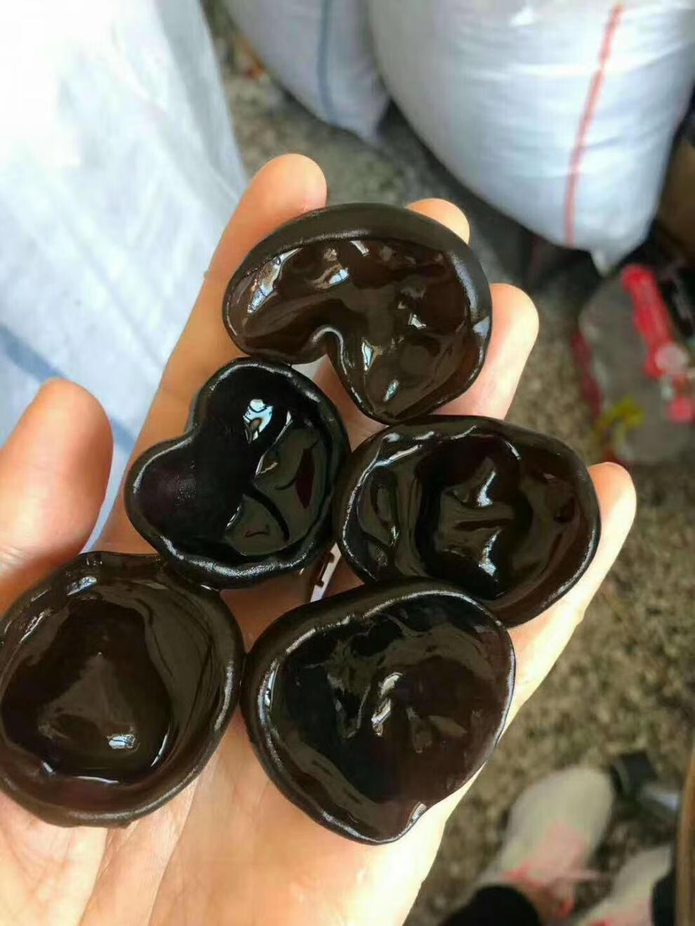 大兴安岭黑木耳 东北山珍秋木耳大兴安岭黑木耳干货1斤小碗儿肉厚无根