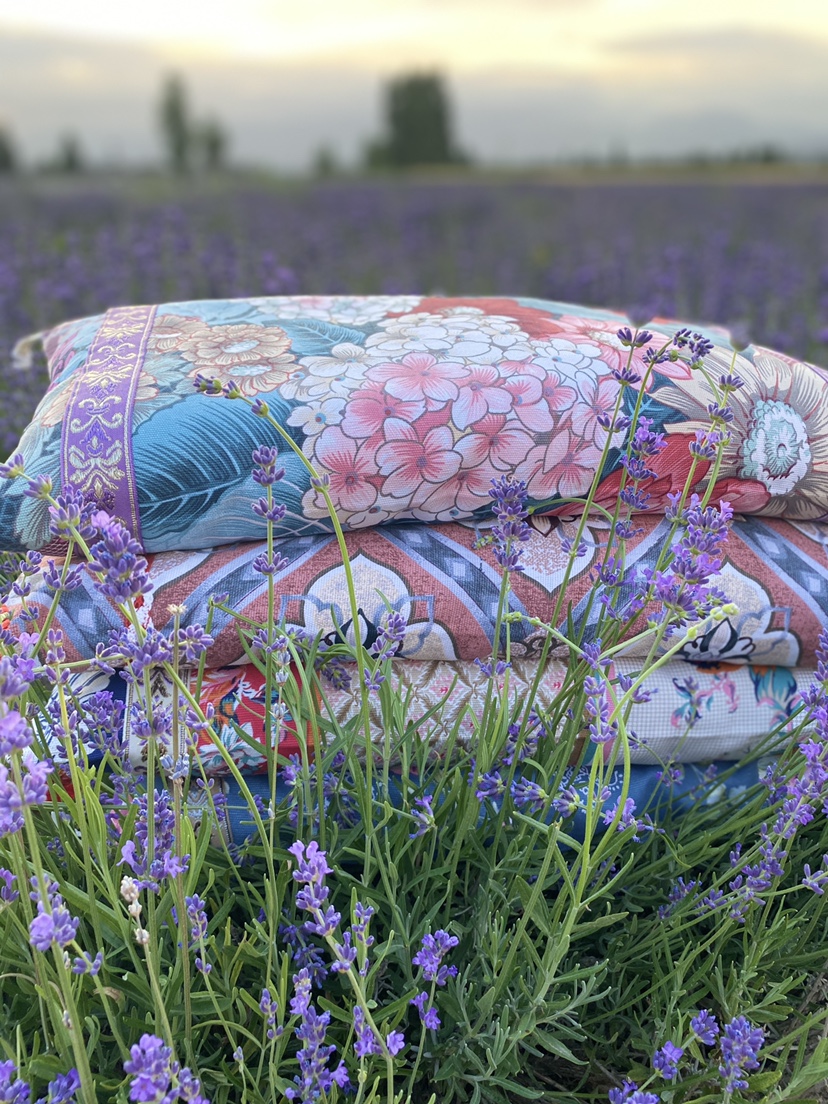 新疆伊犁纯薰衣草枕头 薰衣草填充纯花枕头小方枕头单个装安神眠驱蚊