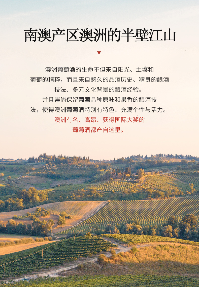 澳大利亚进口红酒帝菲堡袋鼠14度赤霞珠干红葡萄酒750ml6