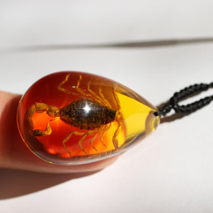 鲤梨 天然蝎子人工琥珀项链 真昆虫标本吊坠创意装饰品生日节日礼物