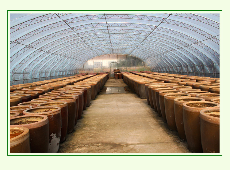 东北农家大酱农村大缸黄豆酱正宗传统生酱臭酱村时50