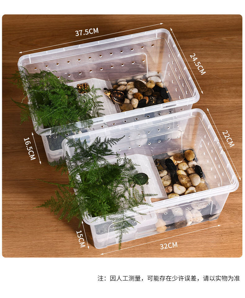 两栖动物饲养盒乌龟缸晒台爬坡螃蟹蜥蜴蜗牛饲养箱守宫蜘蛛宠物盒小号