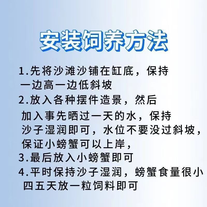 2，寵以沫【甄選廠家】辣椒蟹飼養缸桌麪微景缸迷你辣椒蟹積木盒飼養缸宿捨 辣椒蟹16(包活12衹）