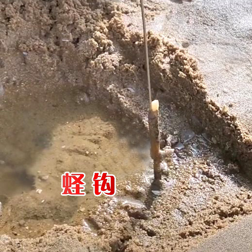 德骊嘉挖蛏子钓蛏子专用钩竹节蛏赶海工具不锈钢304蛏子钩抓蛏子神器