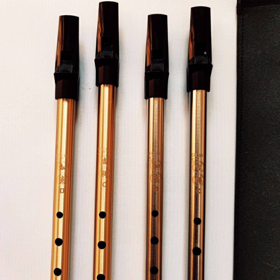 哨笛锡笛c调d调 笛子竖笛直笛长笛初学者 锡哨风笛乐器 哨笛c调 金色