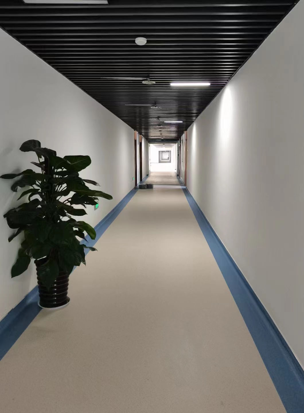 大巨龙pvc地板 展厅工厂地板胶 办公室塑胶地板 学校地板革 发布5 2m*