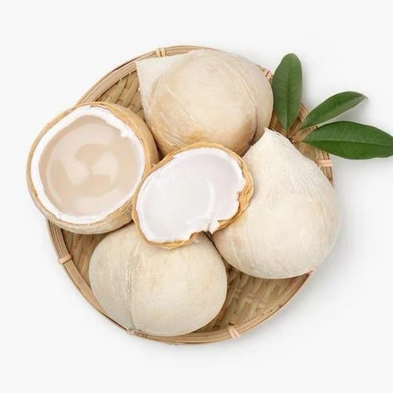 顺丰邮政8个装泰国牛奶椰皇新鲜泰国椰子新鲜小椰子水果小香椰香水椰