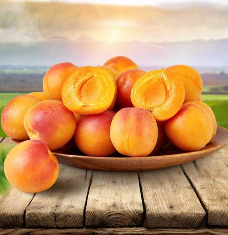 新疆新鲜清甜小红杏新鲜水果当季整箱吊干杏鲜杏甜伊犁吊杆杏杏子黄杏