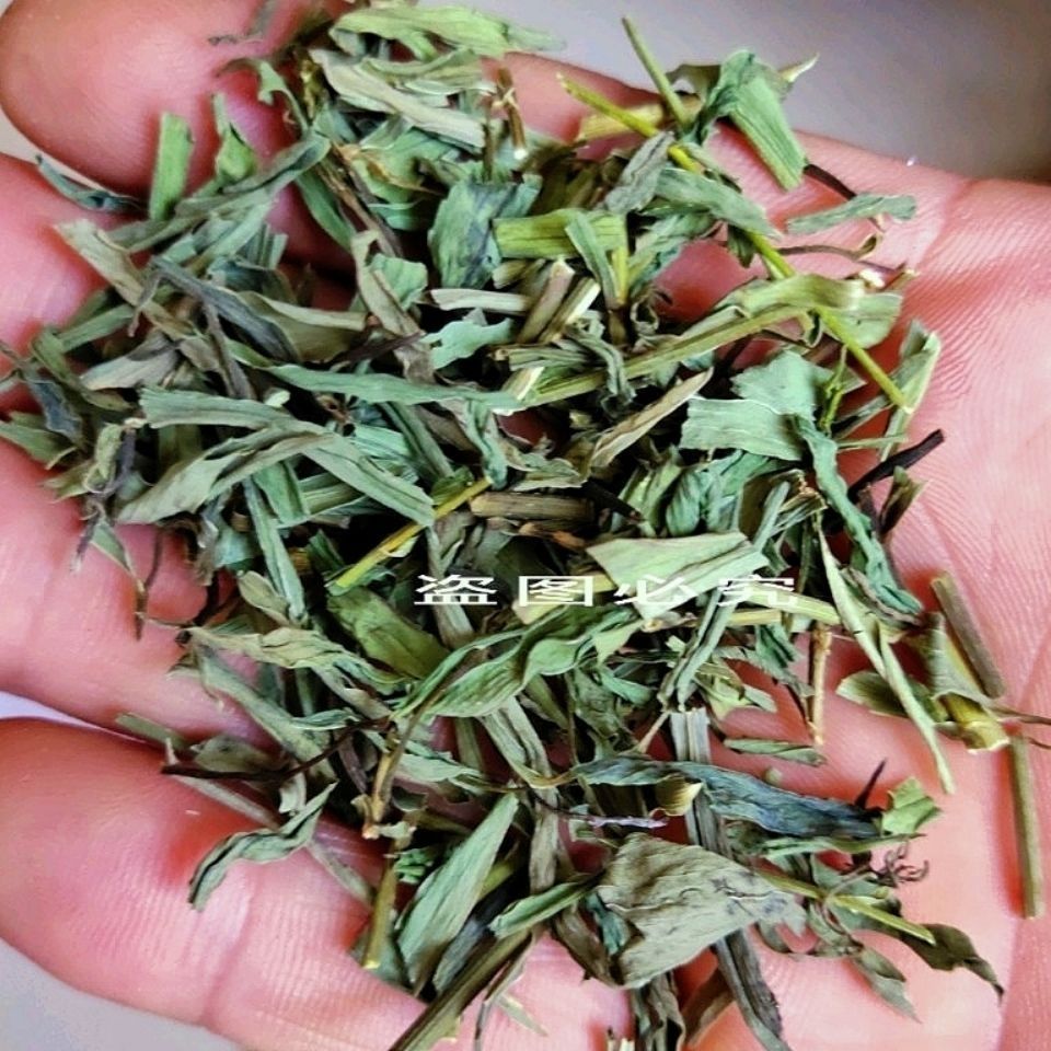 【500克】中药材柴胡苗新货才胡苗春柴胡竹叶柴胡优质柴胡苗100克 500