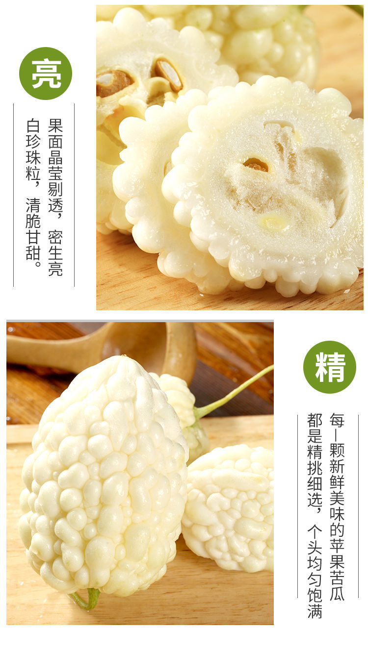 新鲜苹果苦瓜白玉苦瓜生吃水果苦瓜蔬菜农家自种山东寿光现摘现发3斤