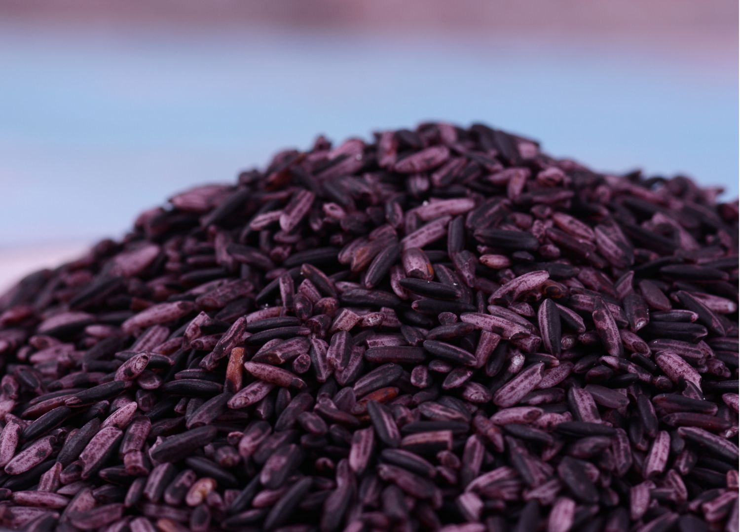 墨江特产紫米酒酿血糯米酒醪糟甜米酒无加糖品即食哺乳期月子500克