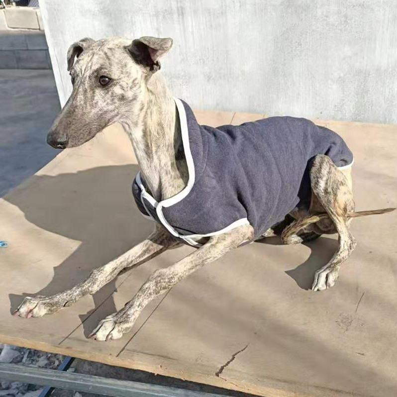 格力犬惠比特狗棉服二特狗衣服加绒狗马甲细狗犬背心迷彩花色加厚迷彩