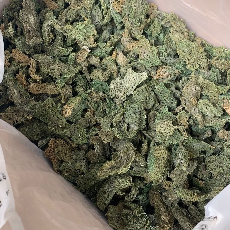 海粉 中药材海粉 海兔粉 红海粉 海挂面无硫均长:0-5cm包装:散装类型