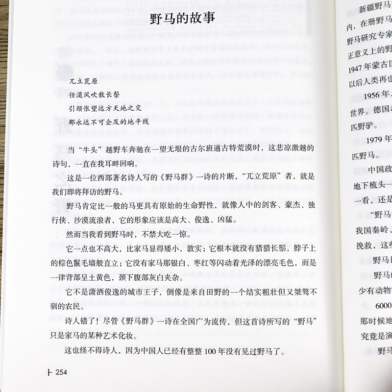 d8d8229535a12186.jpg