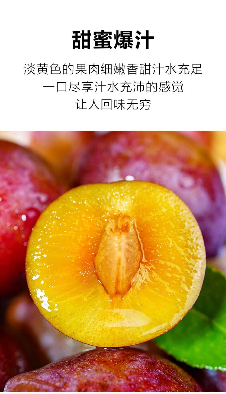 新疆伽师法兰西小西梅孕妇水果新鲜当季特级整箱顺丰李子喀什西梅 3斤