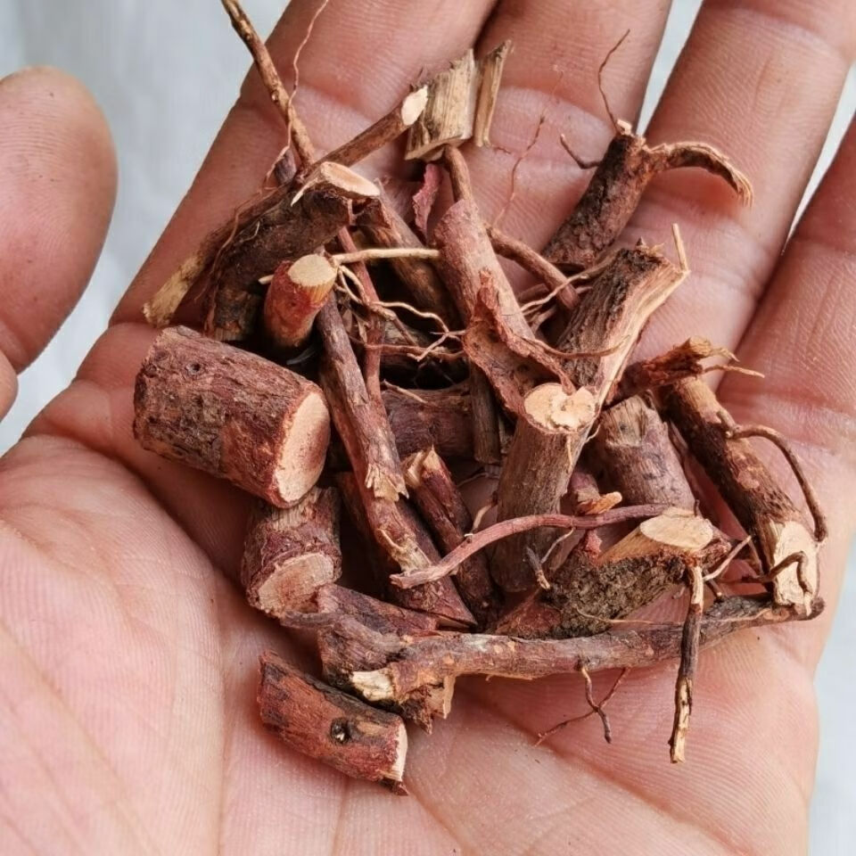 伟博 山稔根山捻根岗念根岗捻根桃金娘根同仁同堂品质原料官网旗舰