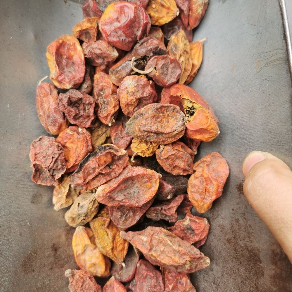 有仁堂赤包子 赤雹子 赤包 药材 山屎瓜 500克【图片 价格 品牌 报价