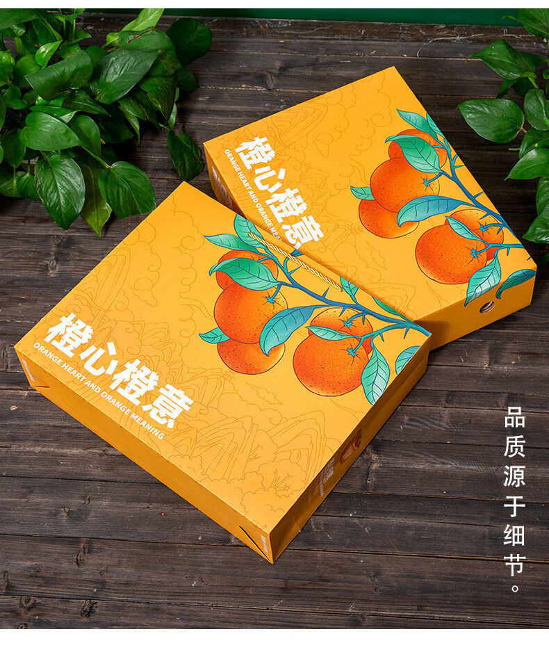通用橙子包装盒脐橙礼品盒空盒12枚装沃柑红美人爱媛橙子礼盒高档商务