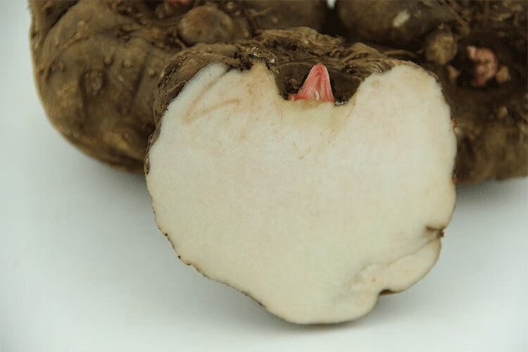 媚调魔芋新鲜10斤云南大魔芋生魔芋现挖正宗农家自种花魔芋头豆腐原料