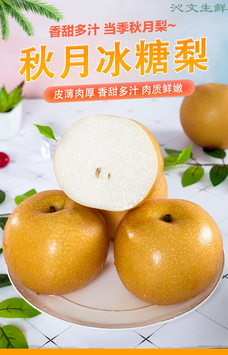 秋月梨 青青大地秋月梨山东冰糖梨子水果脆甜多汁 9
