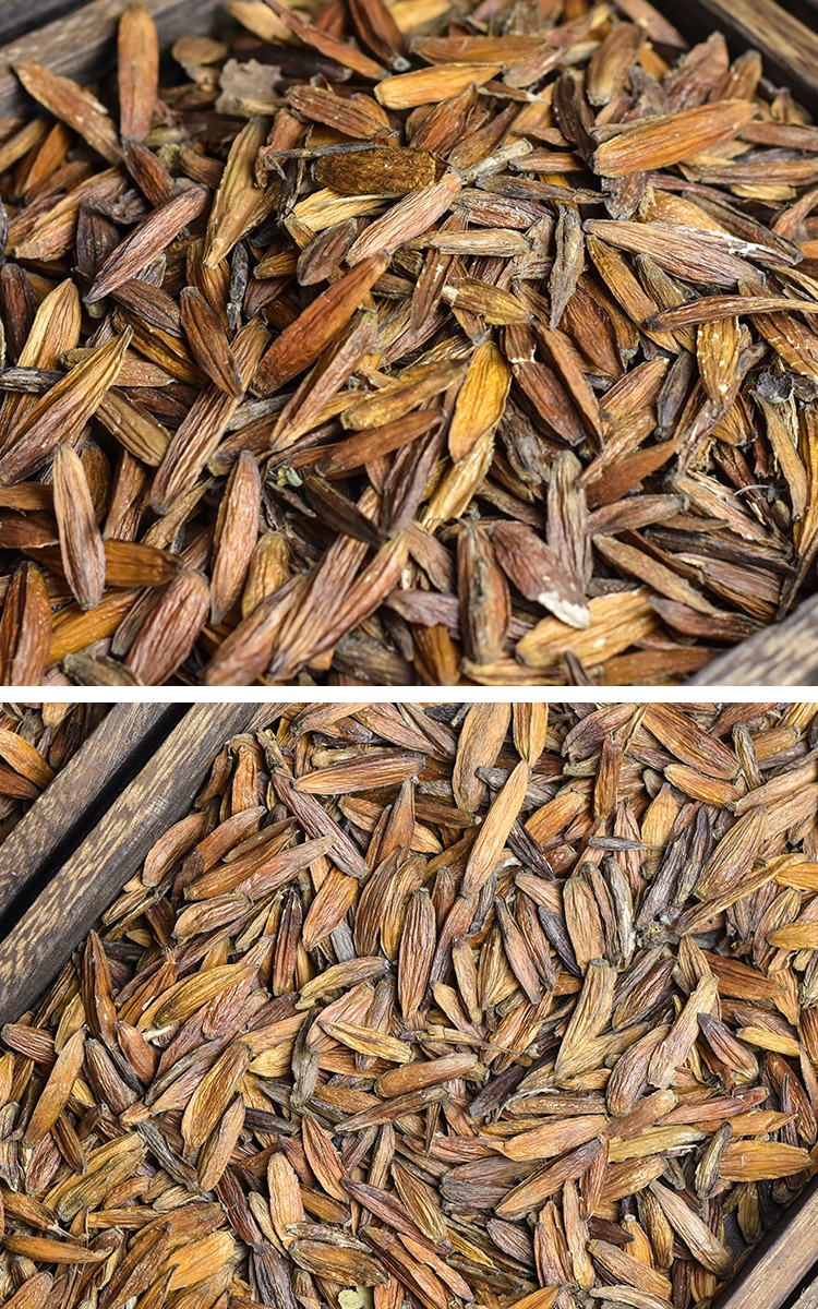 喜树果 中药材 500g 千丈树 水栗子 天梓树【推荐】 图片色【图片