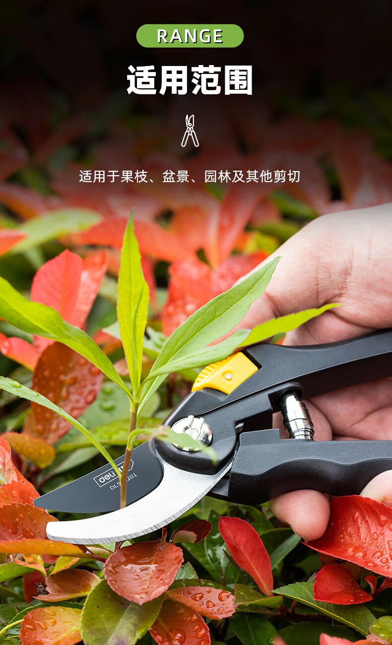 得力修枝剪园林园艺花艺修花剪刀果树剪树枝专用剪刀大剪子 【组合装